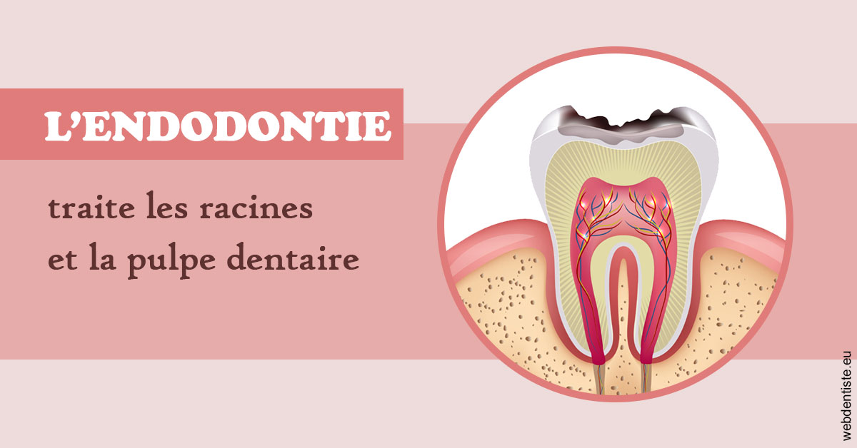 https://dr-allouche-laurent.chirurgiens-dentistes.fr/L'endodontie 2