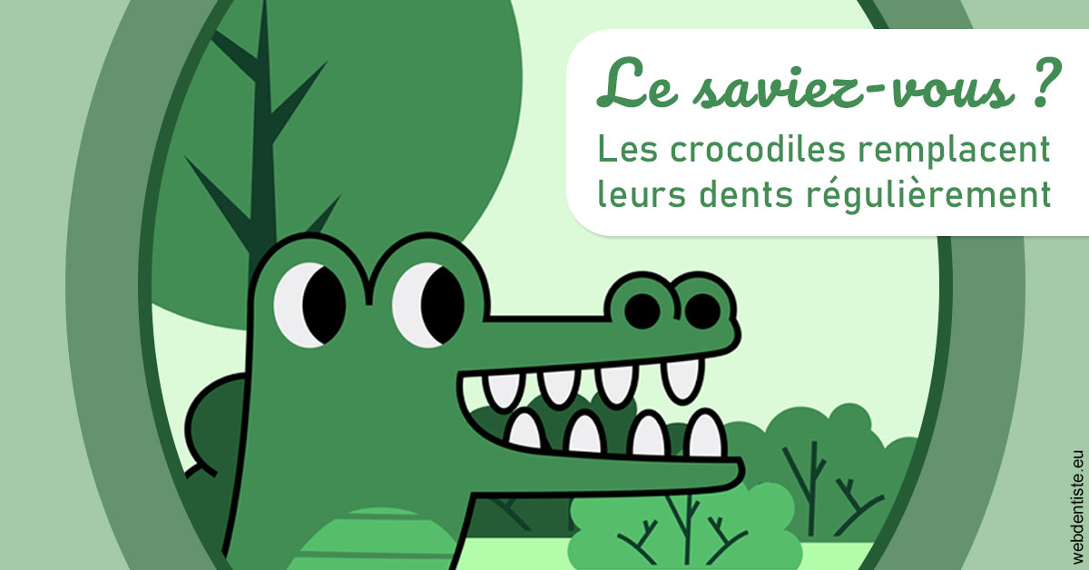 https://dr-allouche-laurent.chirurgiens-dentistes.fr/Crocodiles 2
